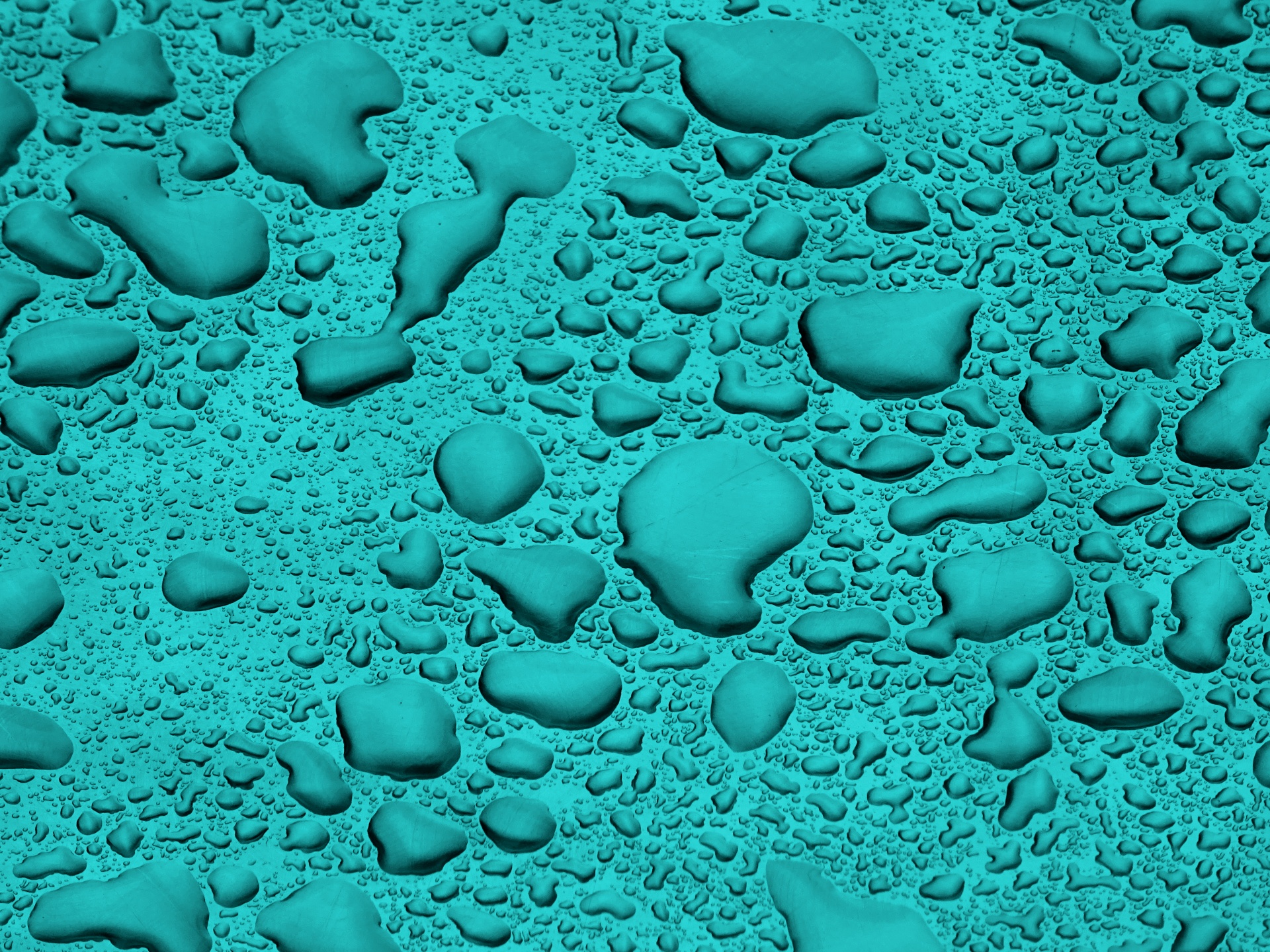 turquoise green rainfall free photo