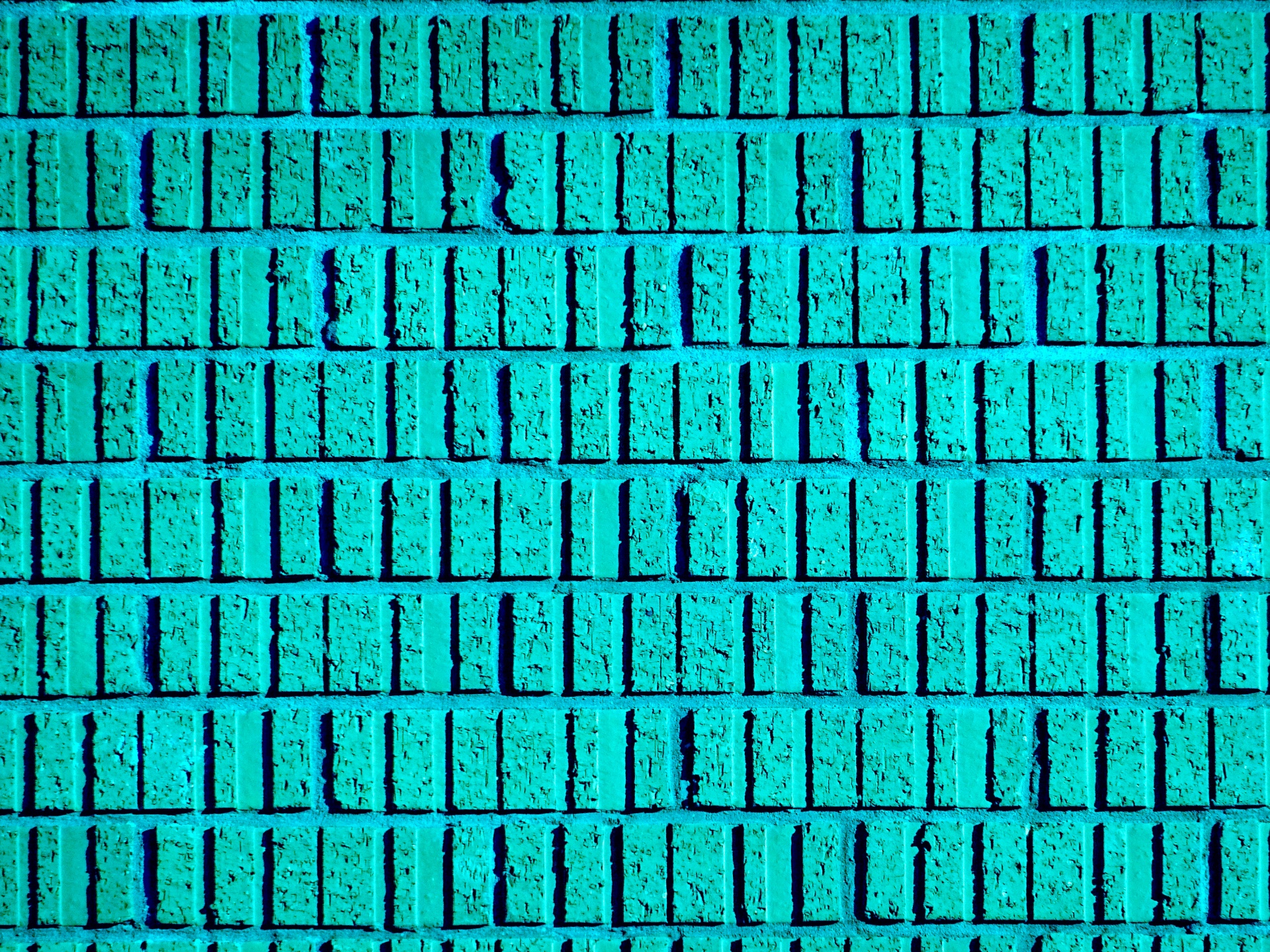 turquoise green blue free photo