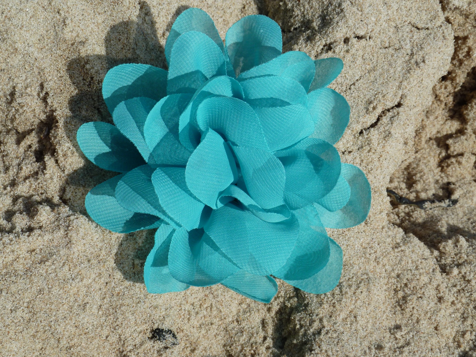 turquoise flower fiber free photo