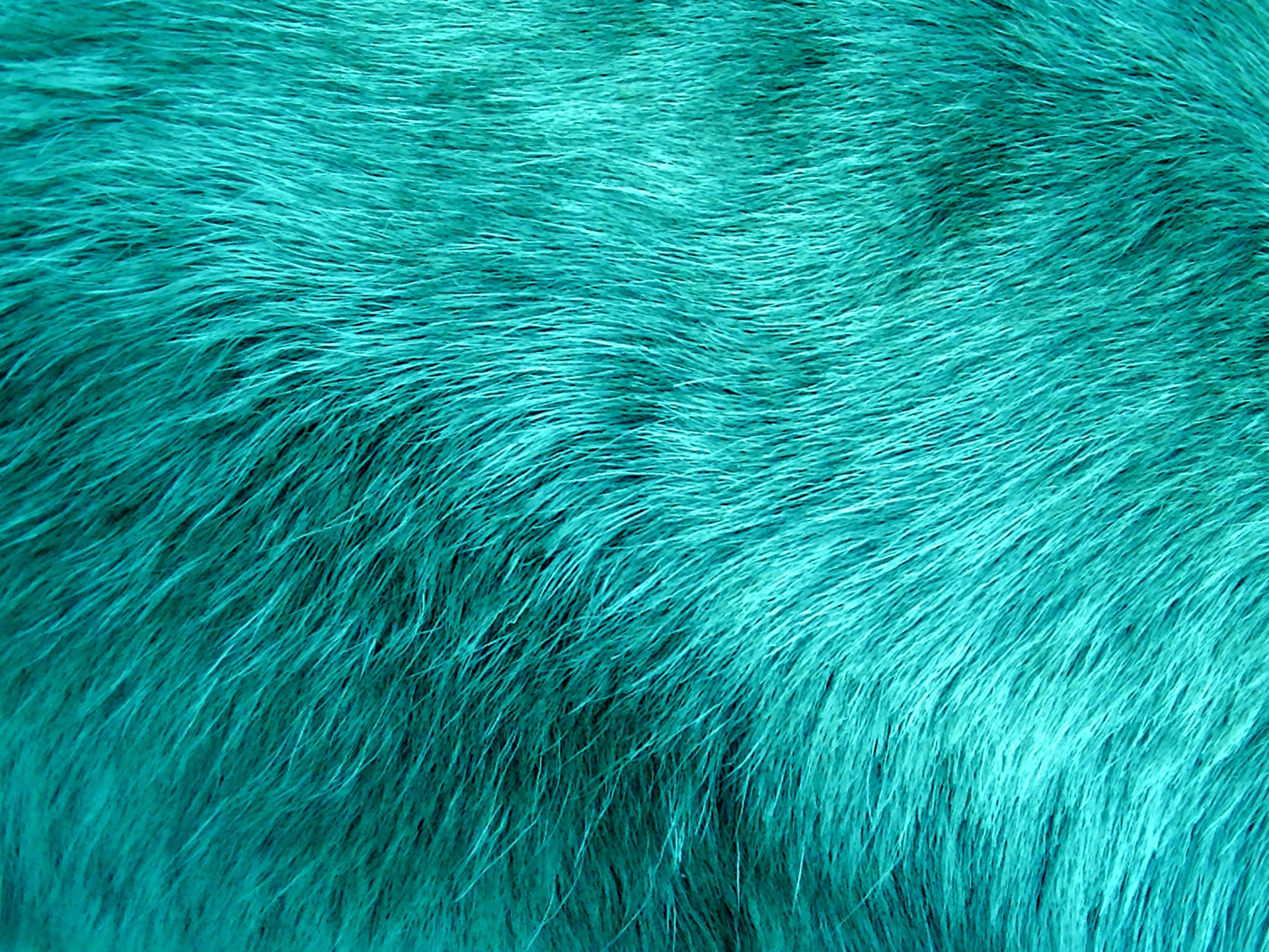 turquoise green blue free photo