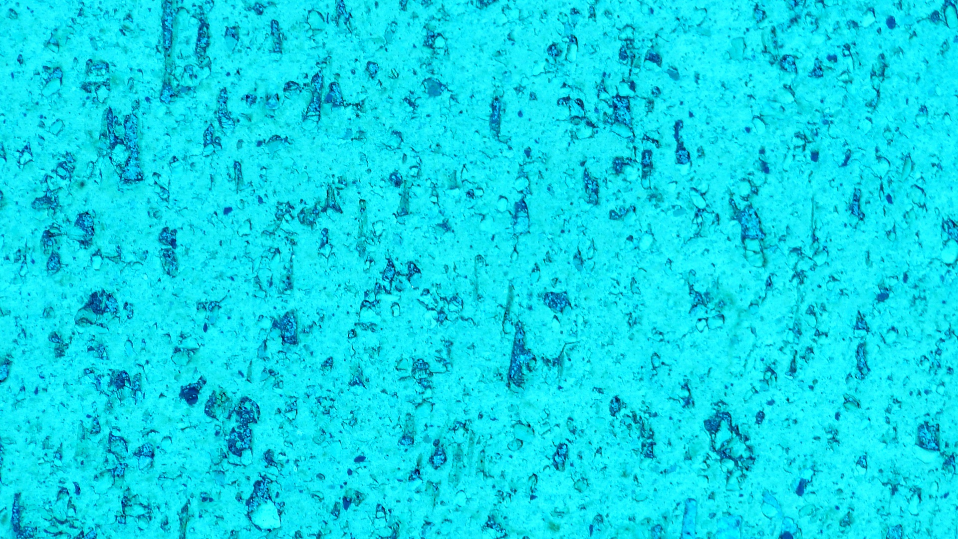 turquoise background backgrounds free photo