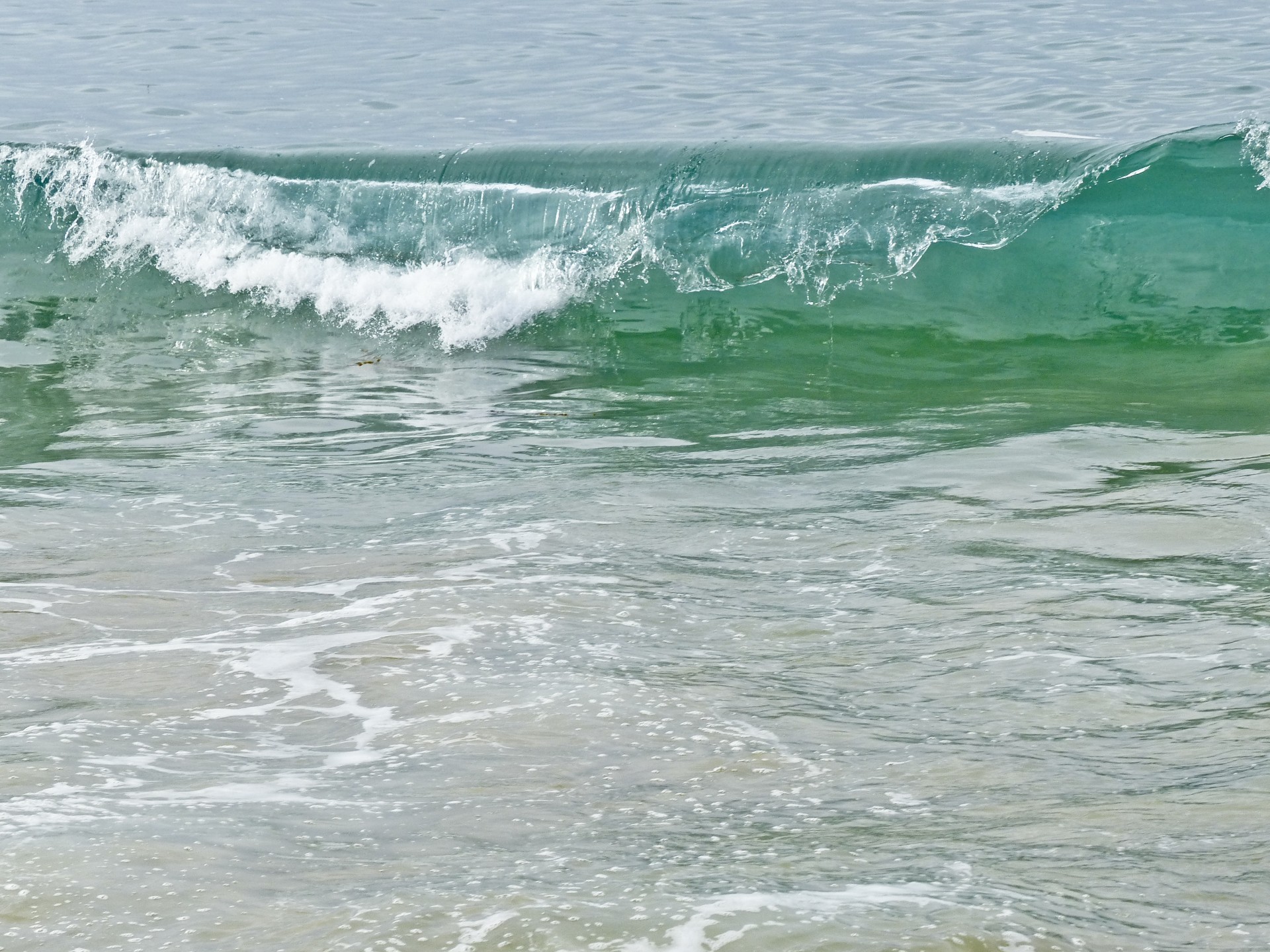 ocean wave curl free photo