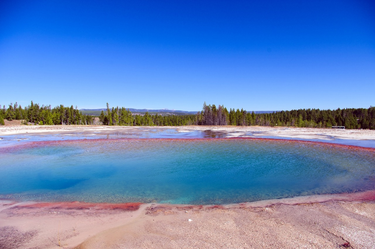 turquoise pool  pool  hot free photo