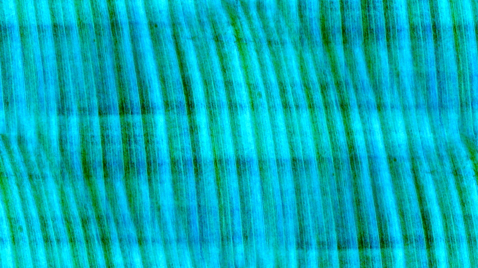 turquoise wallpaper background free photo