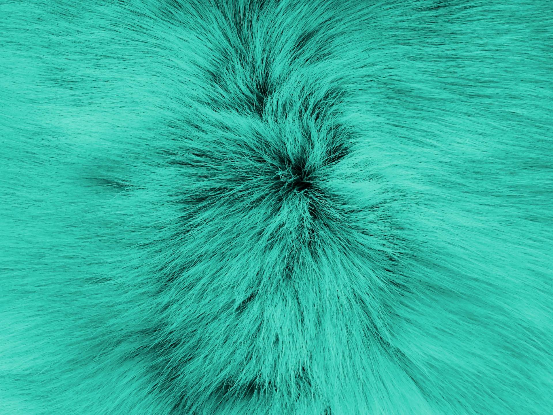 turquoise green backgrounds free photo