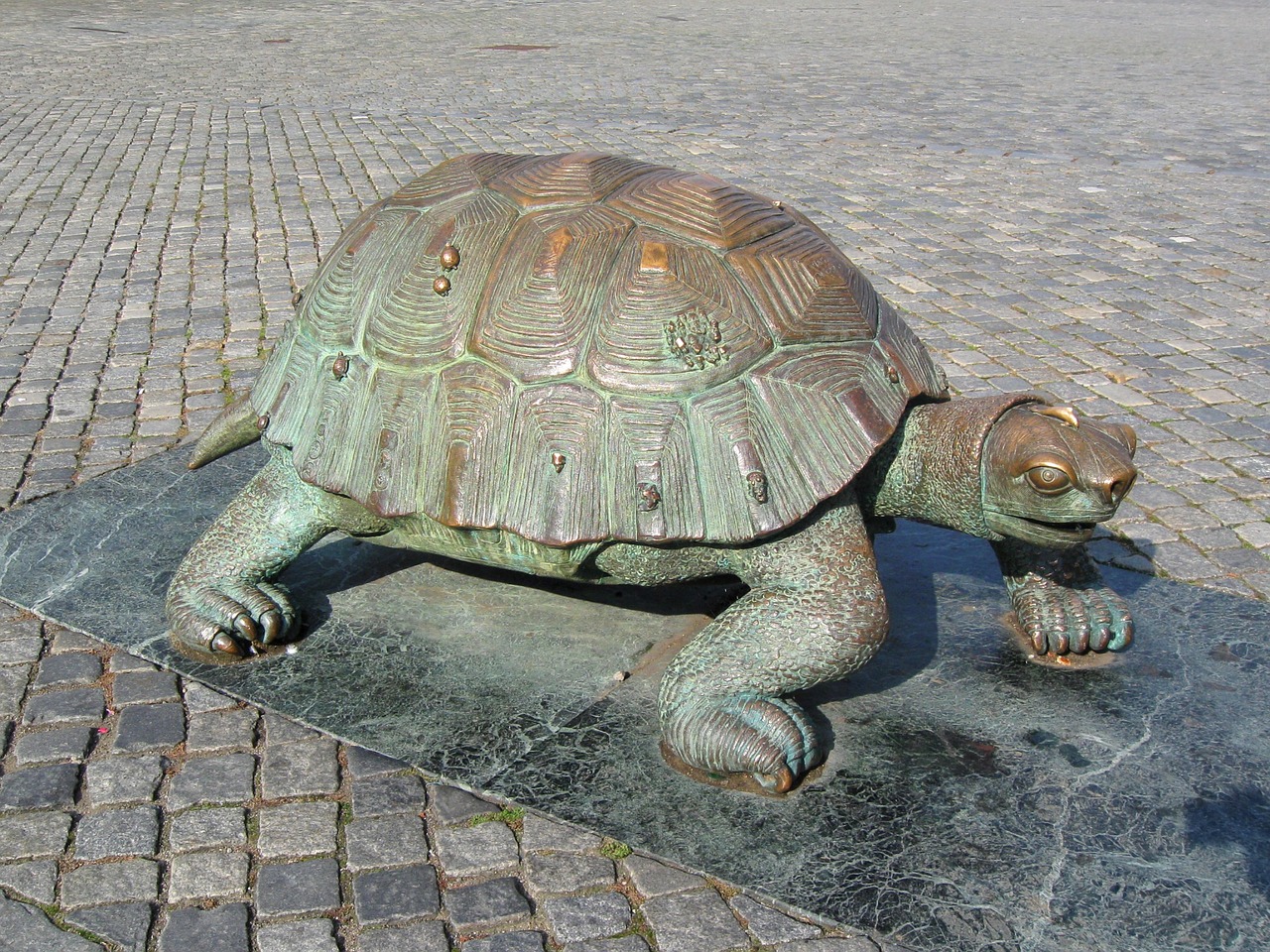 turtle the statue of olomouc free photo