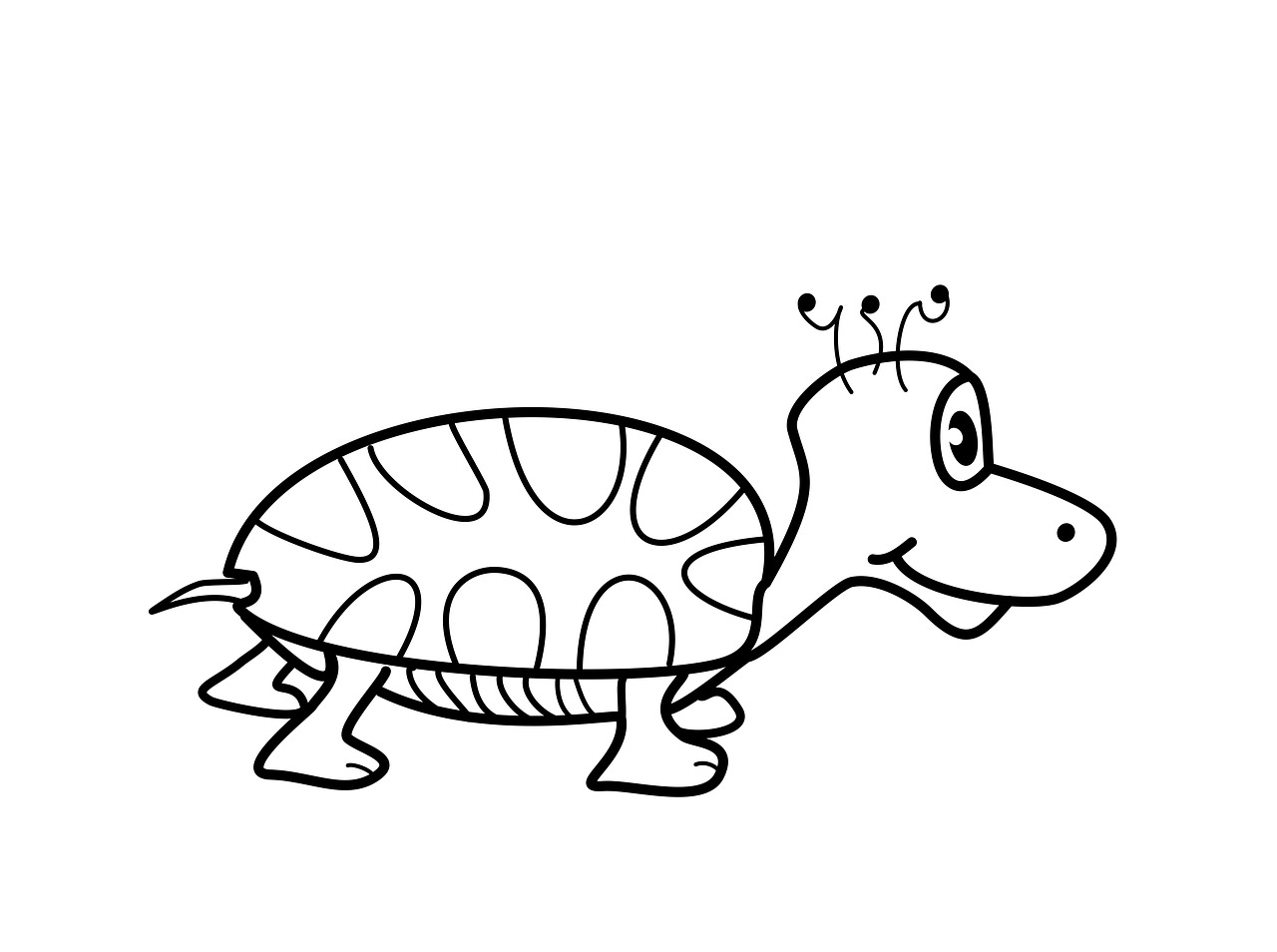 turtle vector png free photo