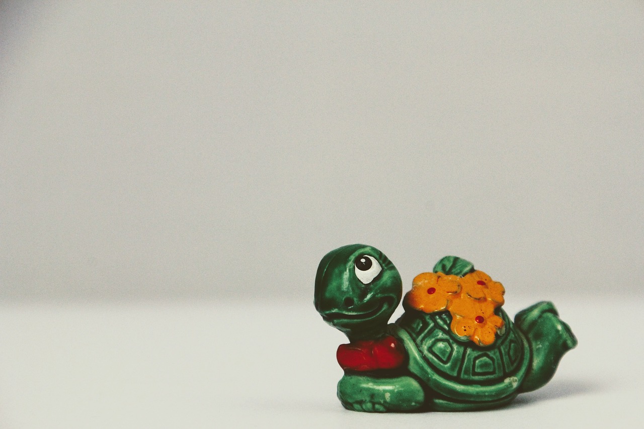 turtle toys überraschungseifigur free photo
