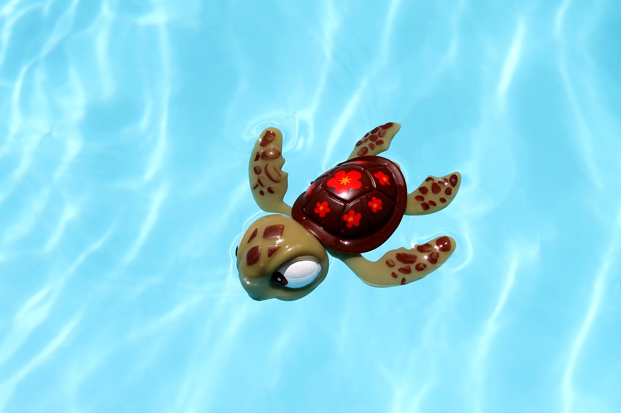 turtle pool toy free photo