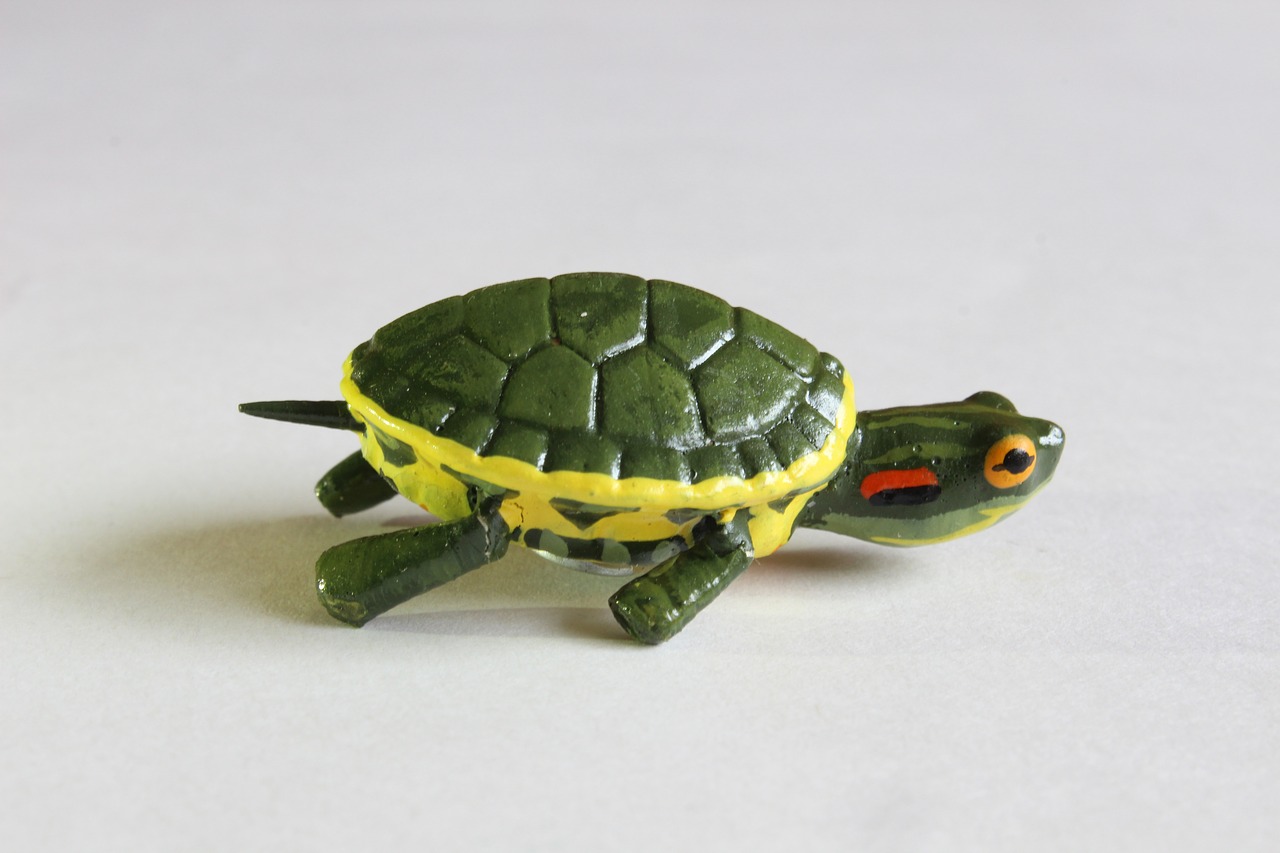 turtle crafts decoration free photo