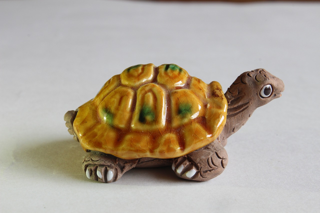 turtle crafts decoration free photo