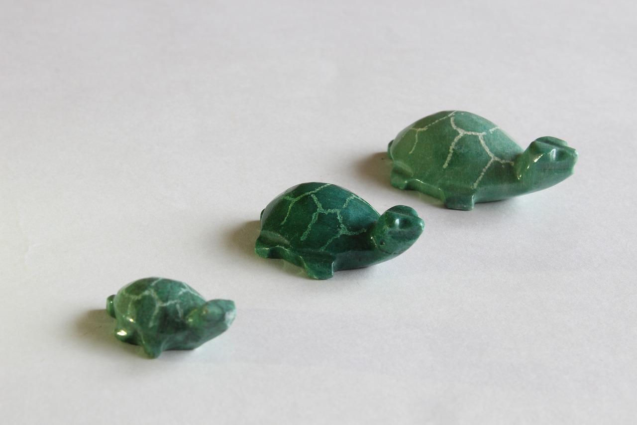 turtle crafts decoration free photo