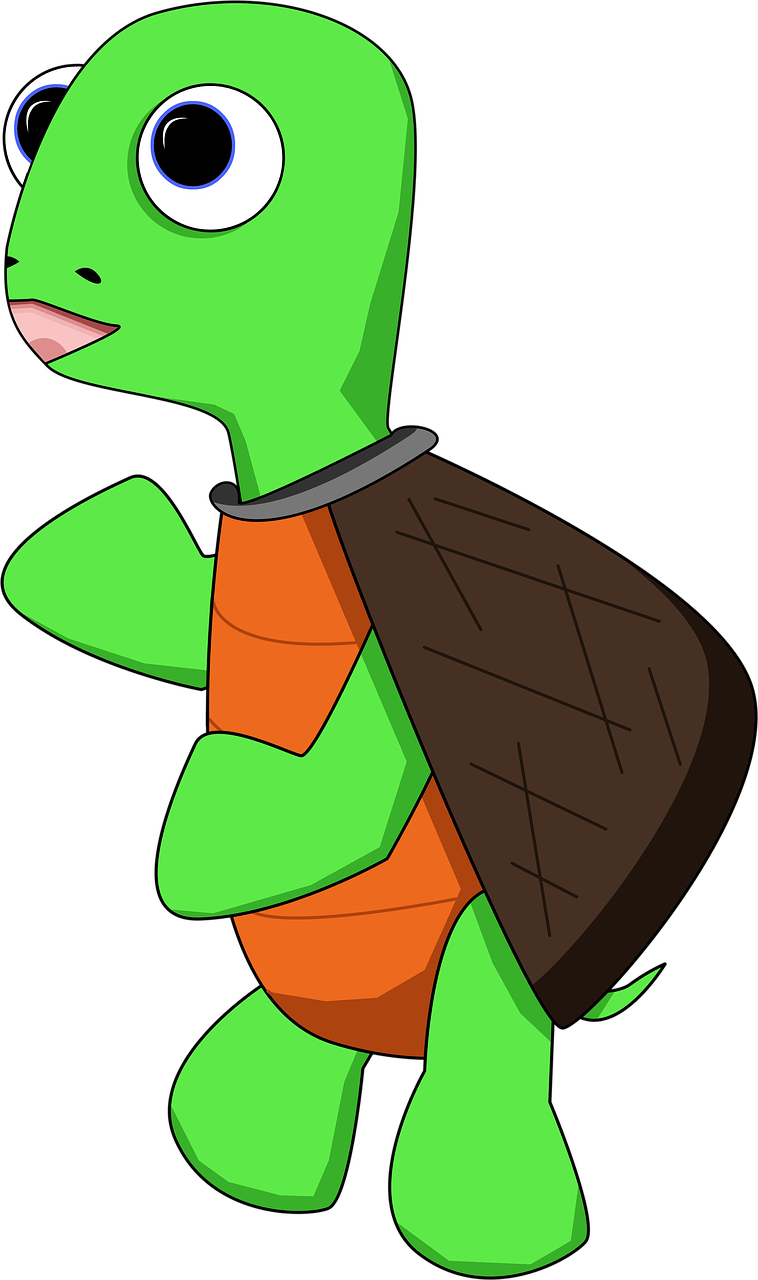 turtle cartoon cute free photo