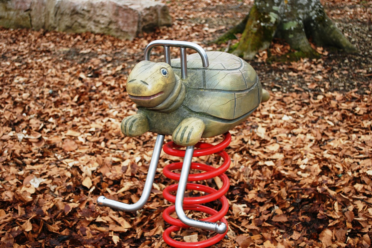 turtle playground reptile free photo