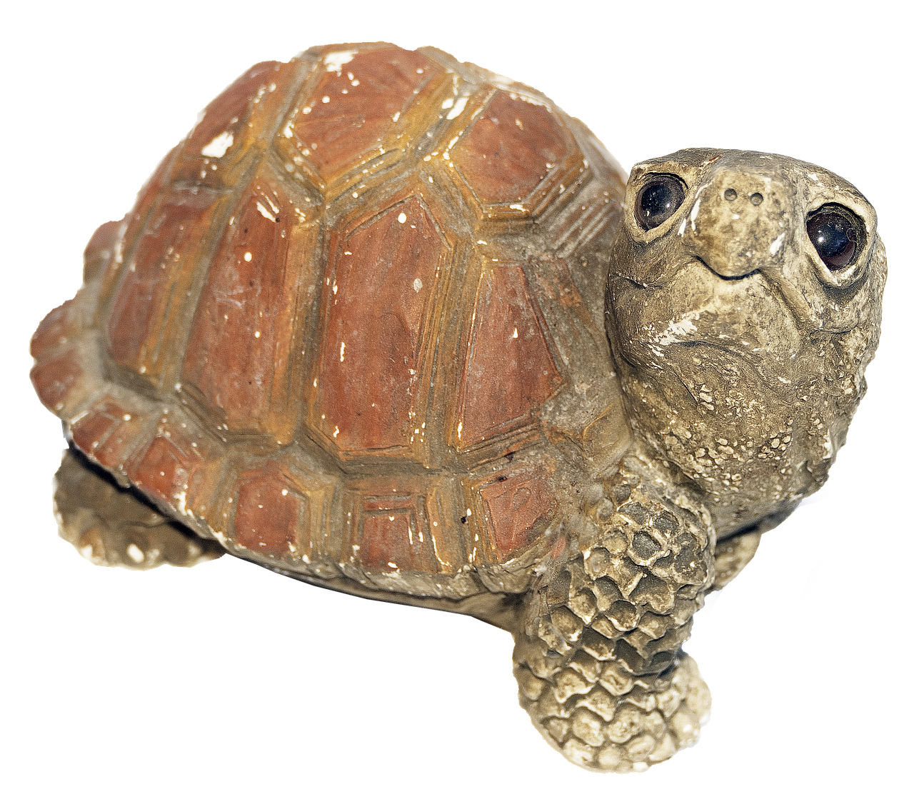 turtle figure weel free photo