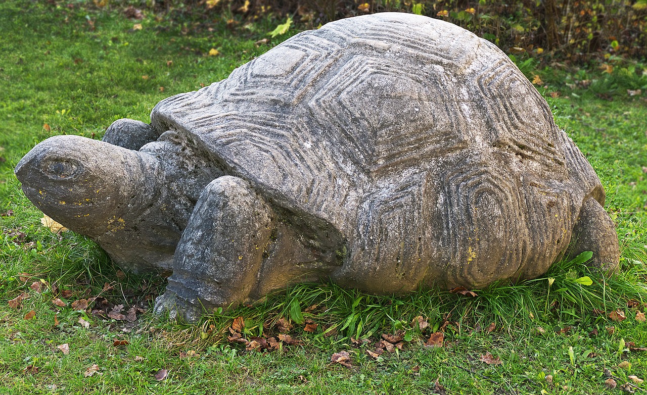 turtle stone figure sculpture free photo
