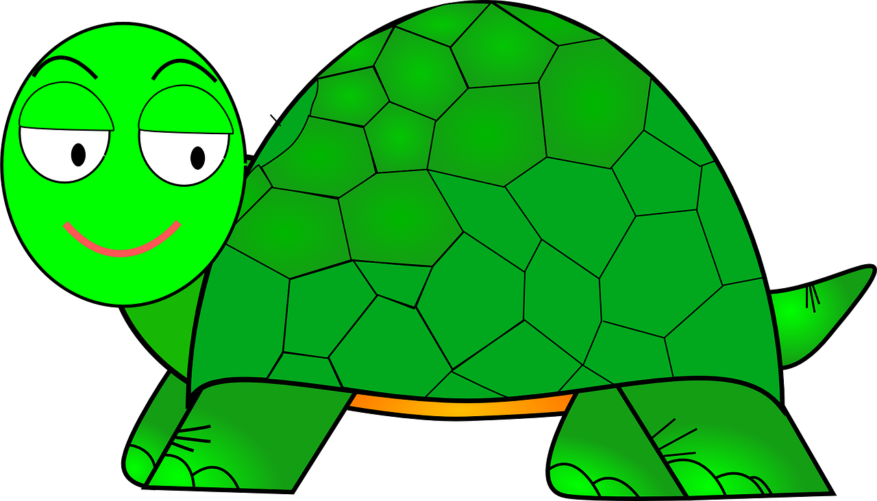 turtle cartoon cute free photo