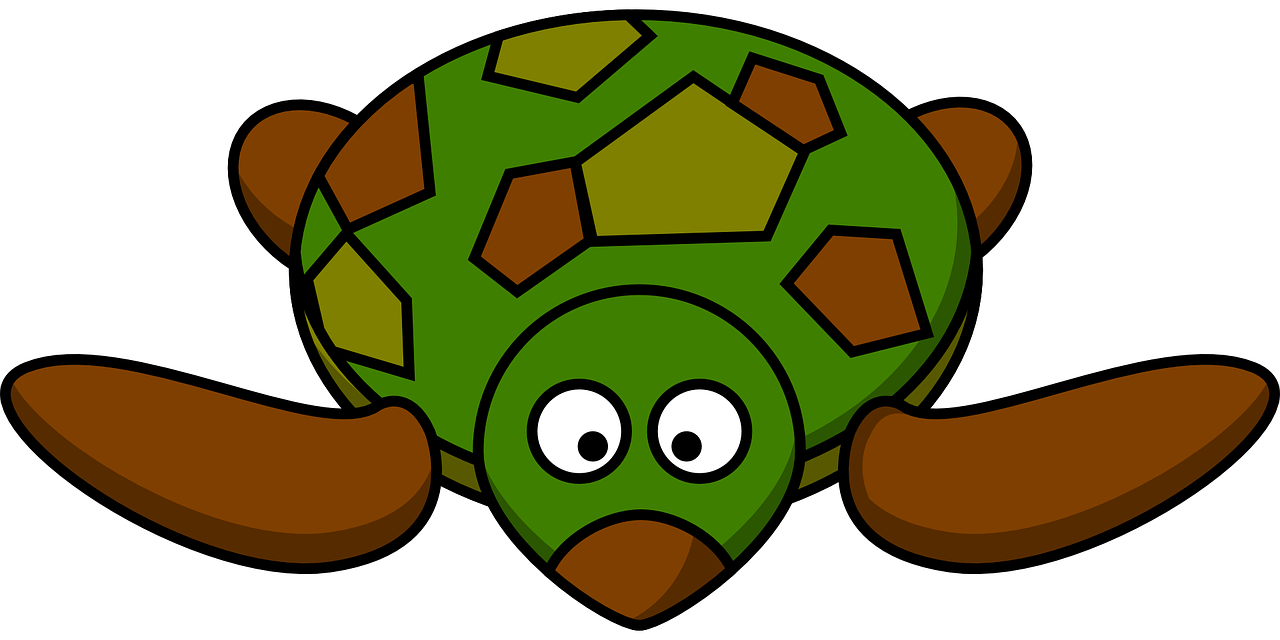 turtle cartoon front free photo