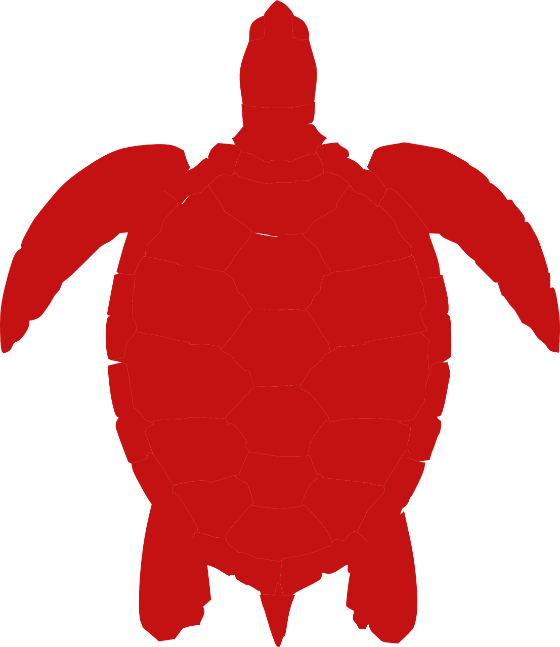 turtle red animal free photo