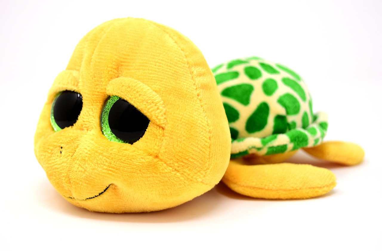 turtle stuffed animal soft toy free photo