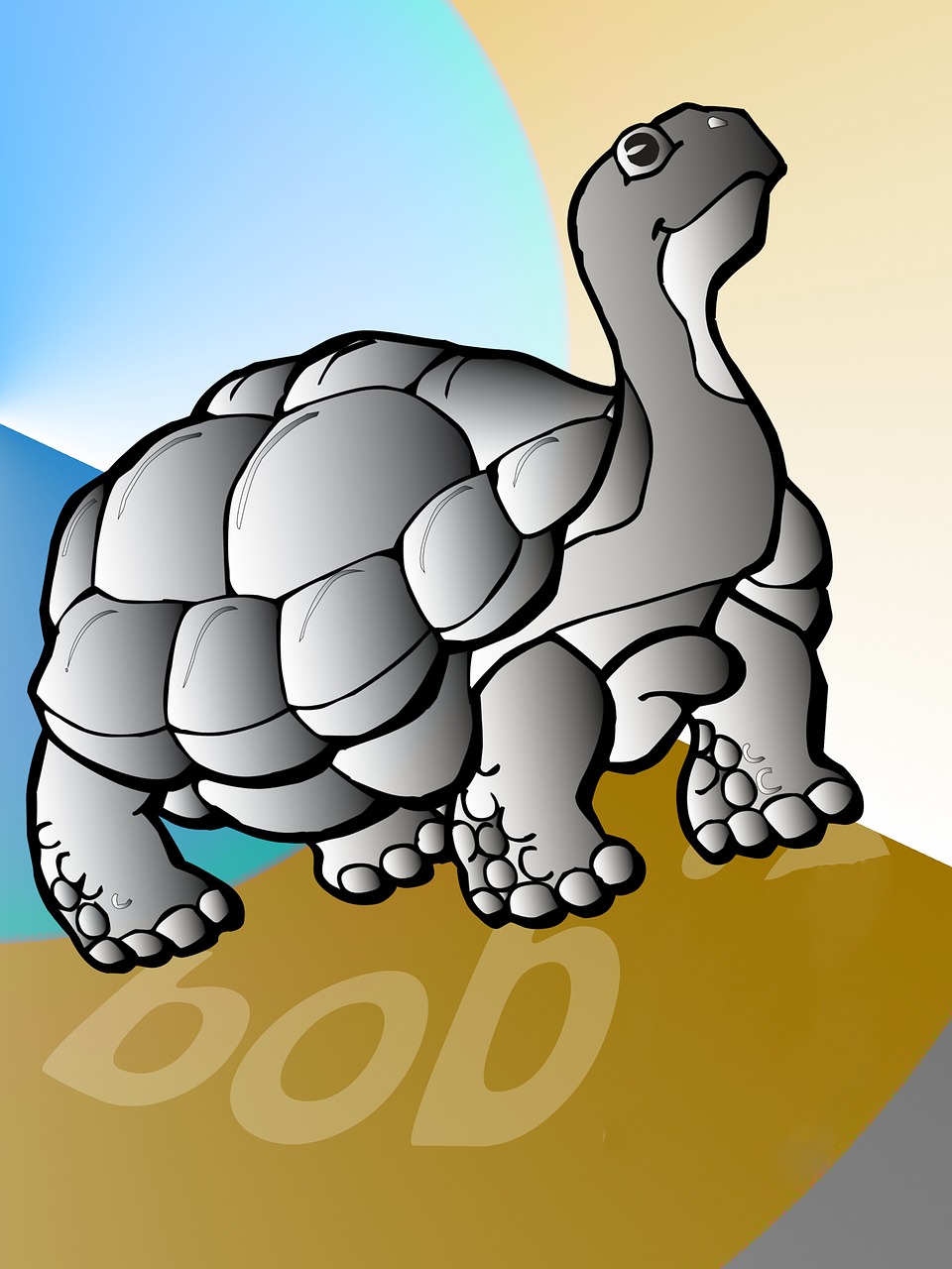turtle  shell  Free illustrations free photo