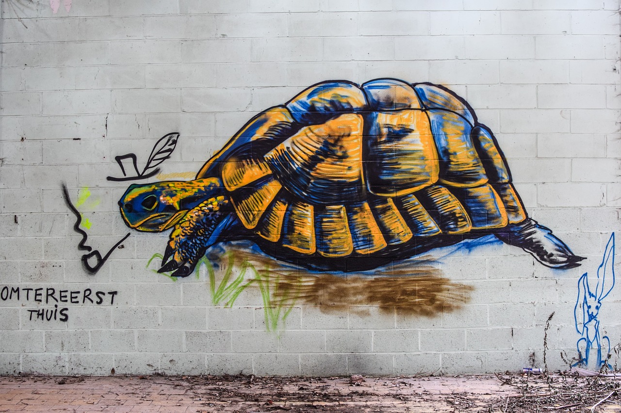 turtle  graffiti  mural free photo
