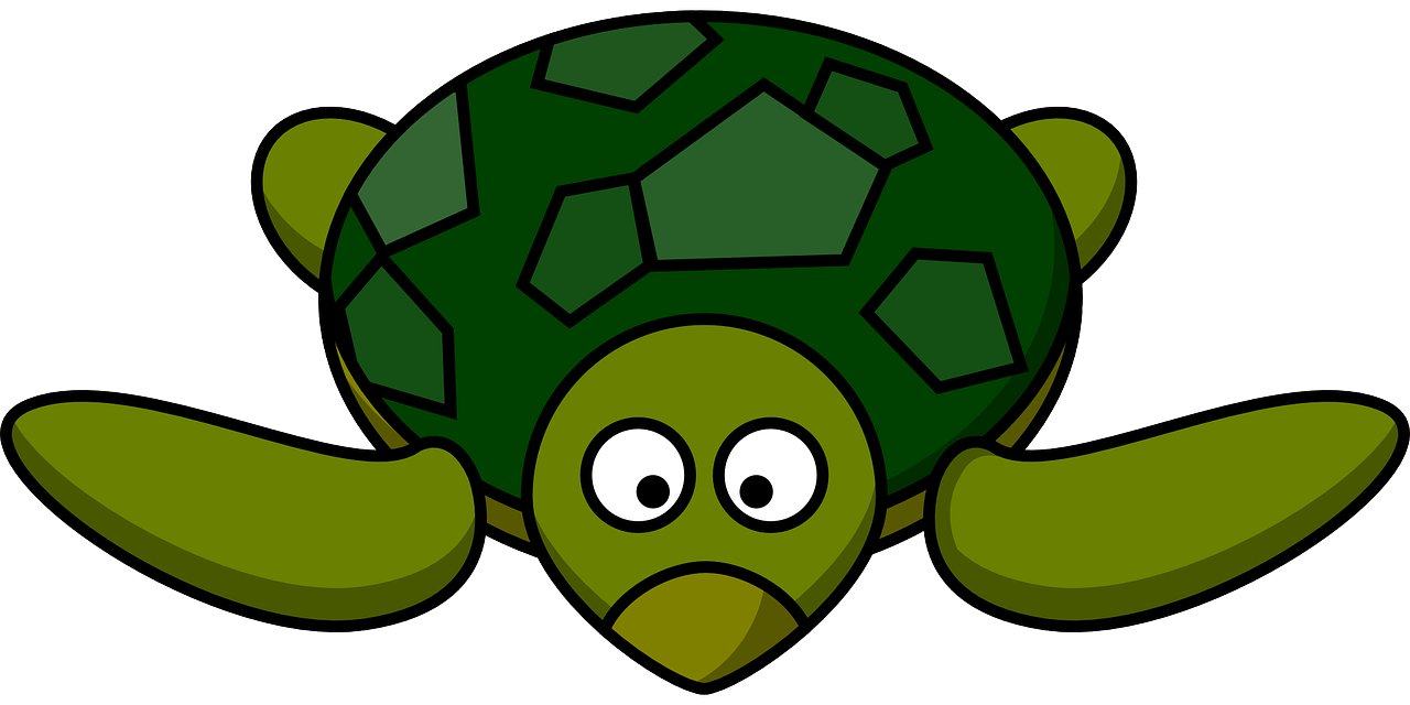 turtle green tortoise free photo