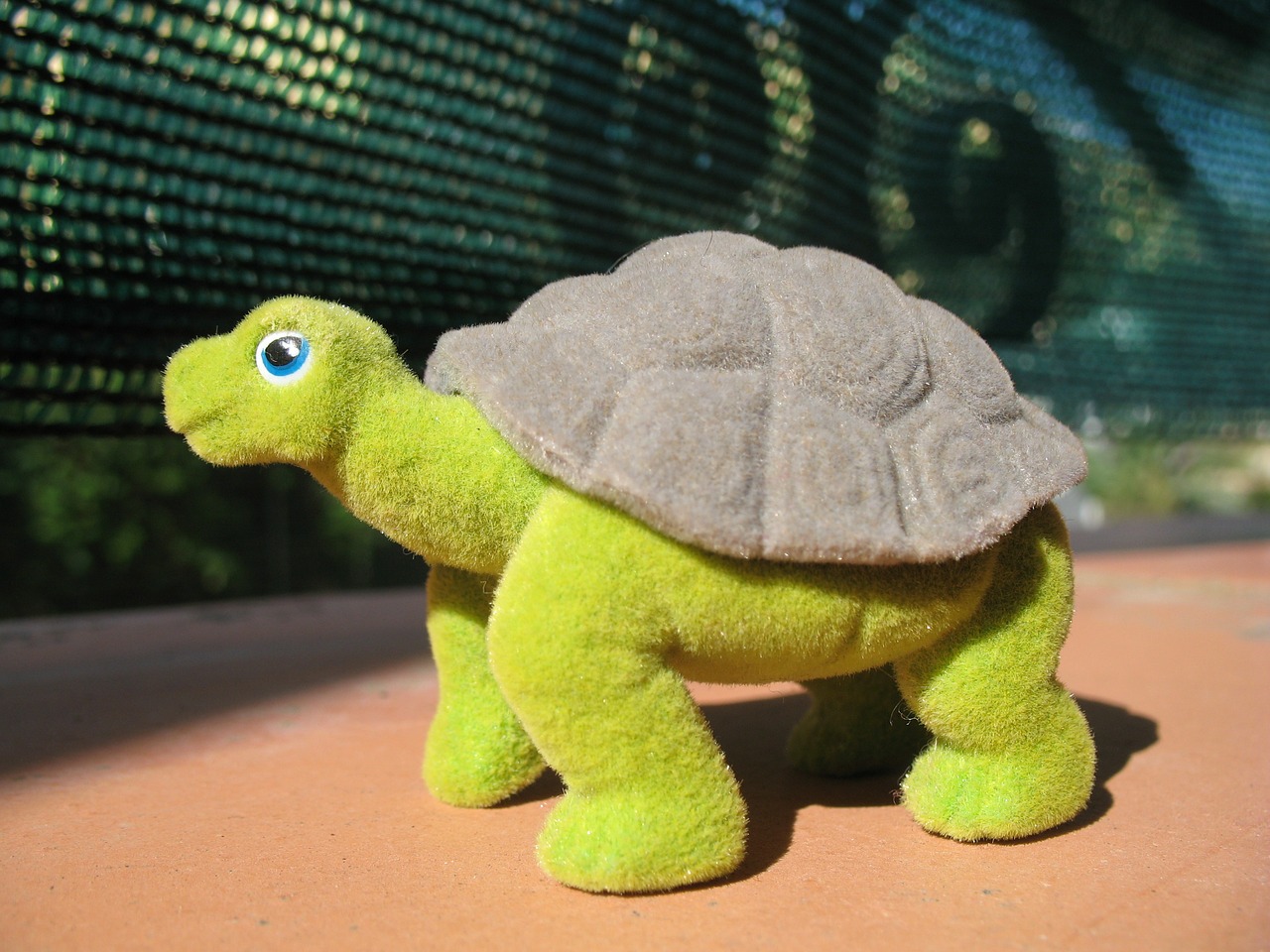 turtle toy reptile free photo