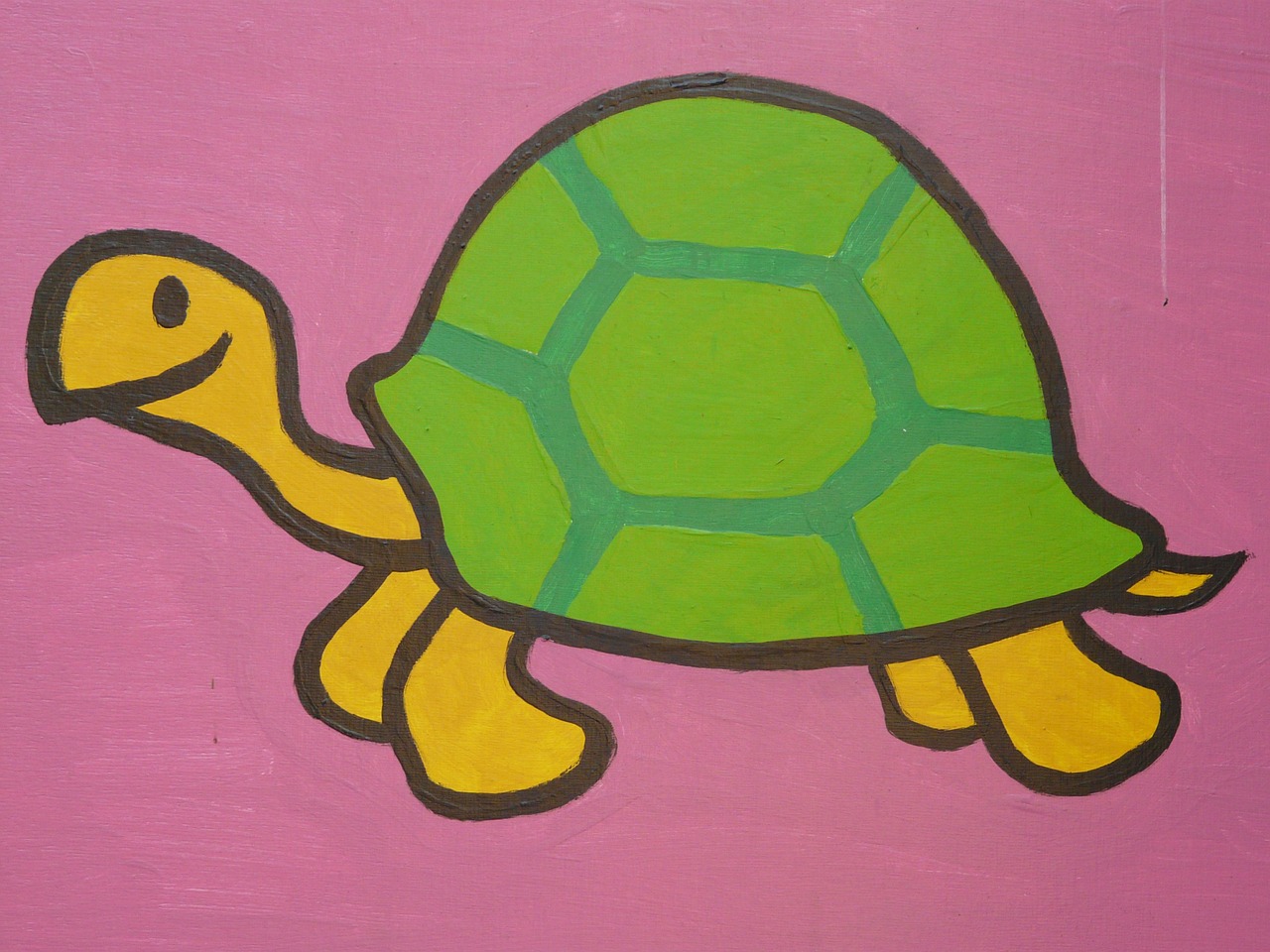 turtle cartoon character drawing free photo