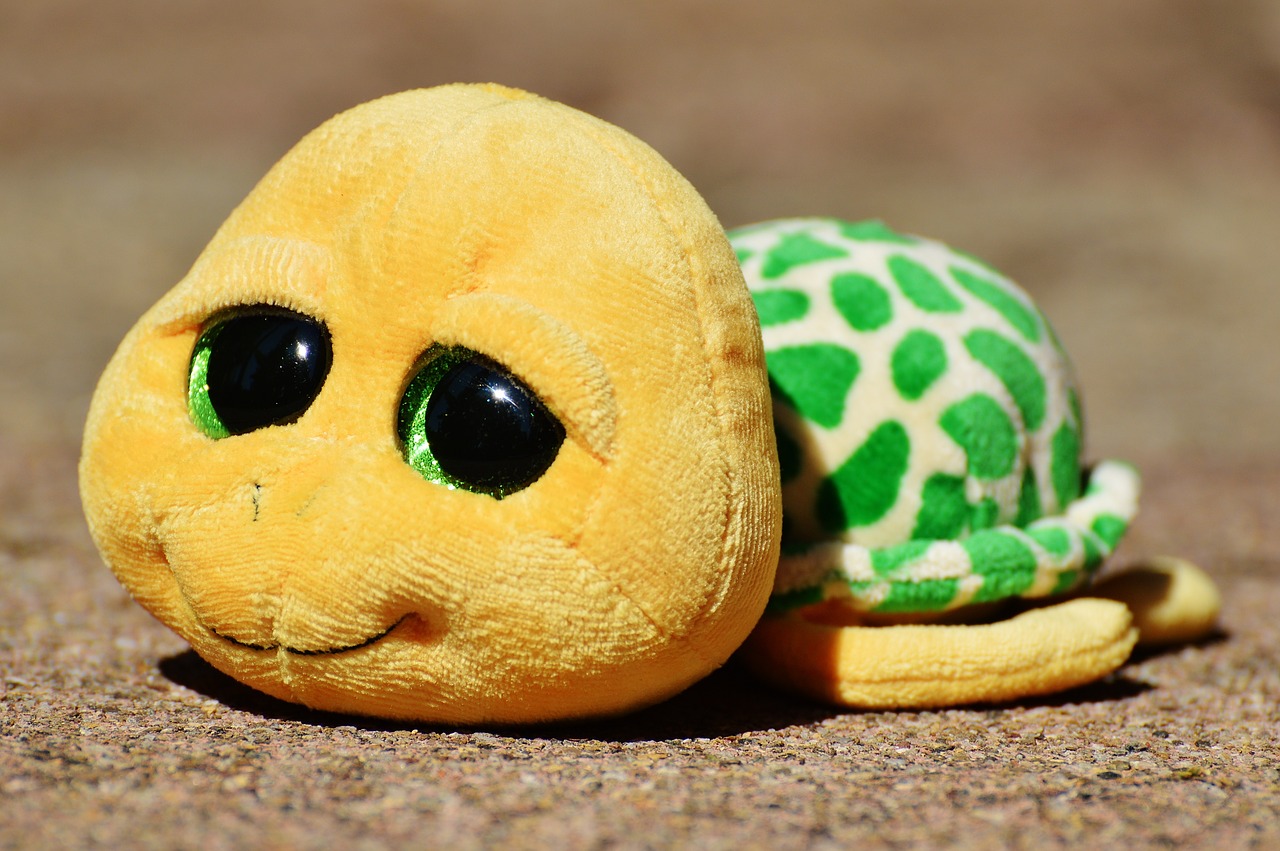 turtle stuffed animal soft toy free photo
