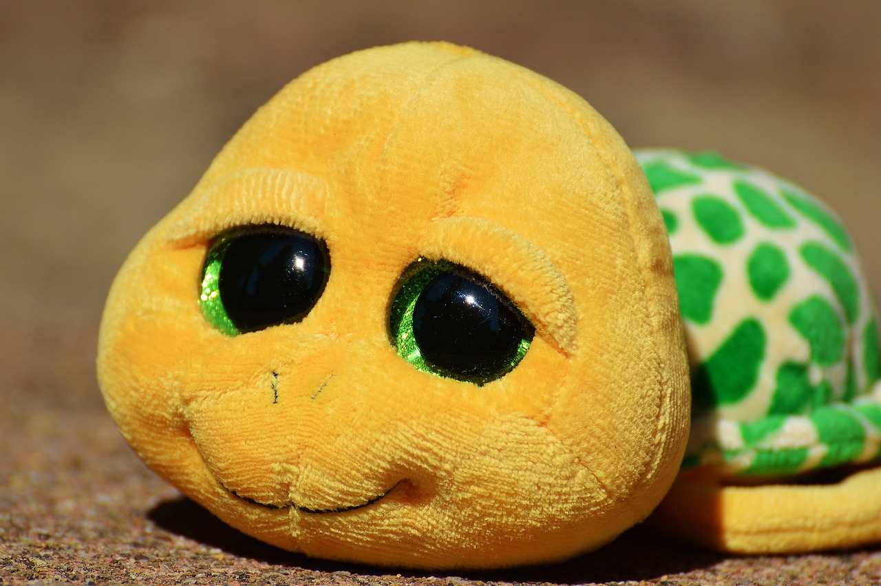 turtle stuffed animal soft toy free photo