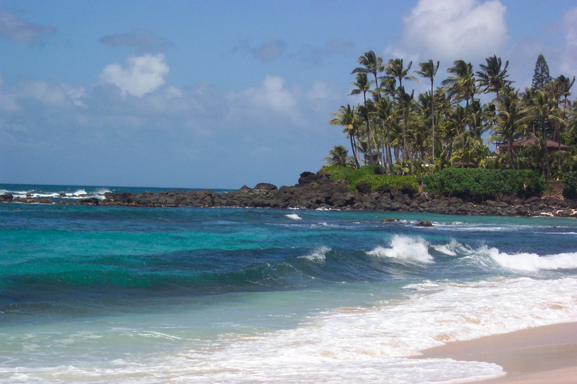 oahu hi northern beach free photo