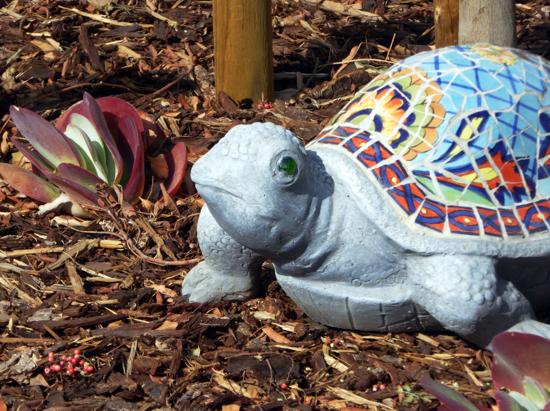 turtle decoration ceramic free photo