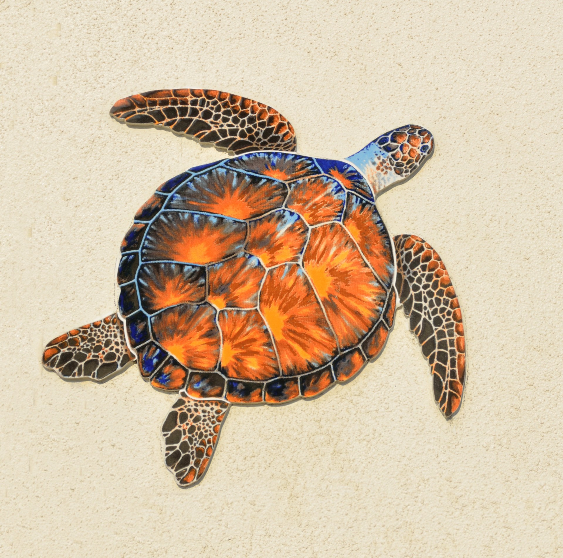 turtle animated artistic free photo