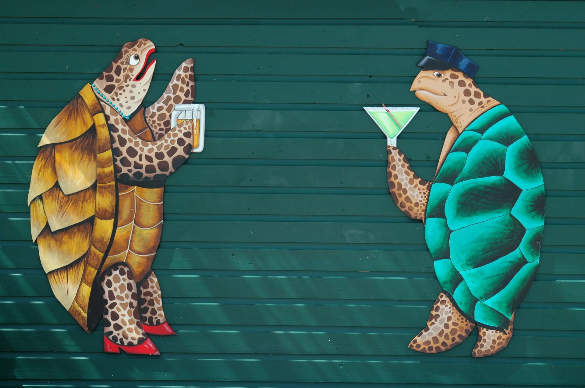 animated turtles colorful free photo