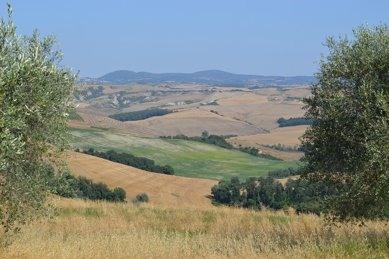 tuscany the cultivation of fields free photo