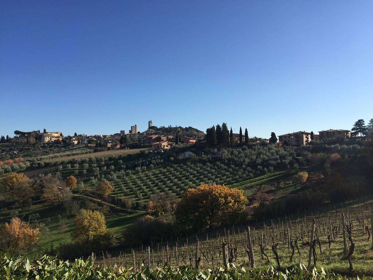 tuscany italy vineyard free photo