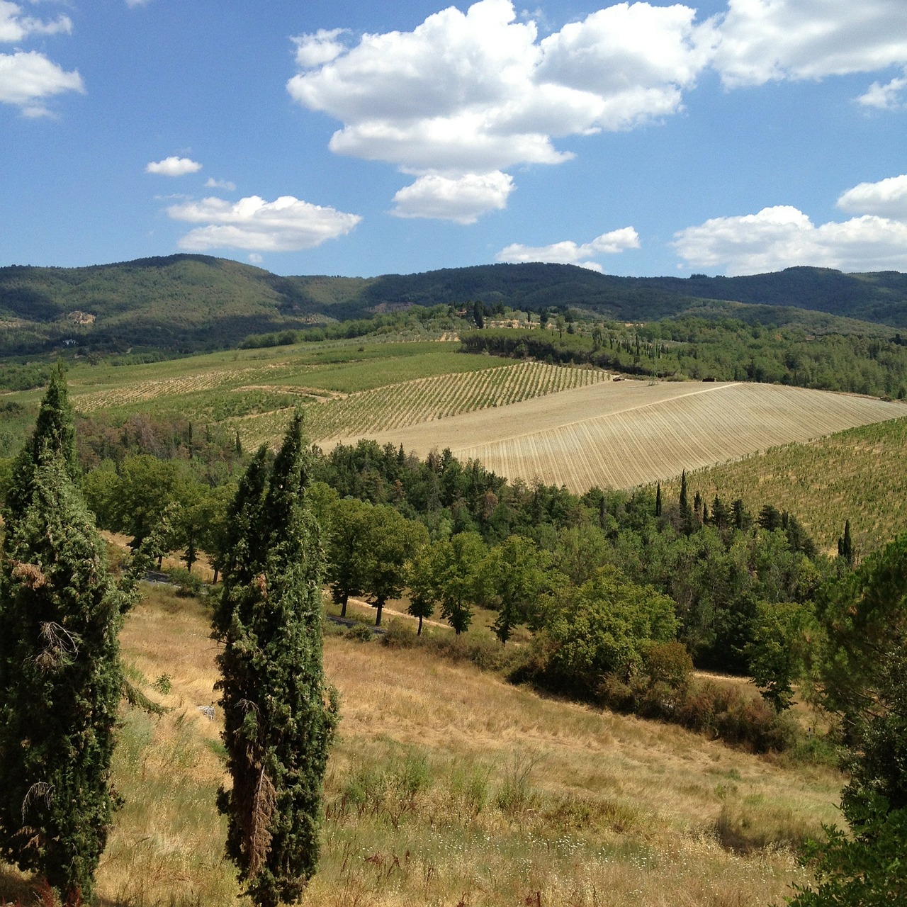 tuscany field landscape free photo