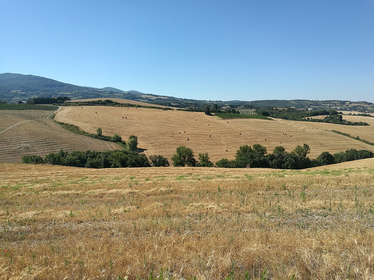 tuscany country landscapes free photo