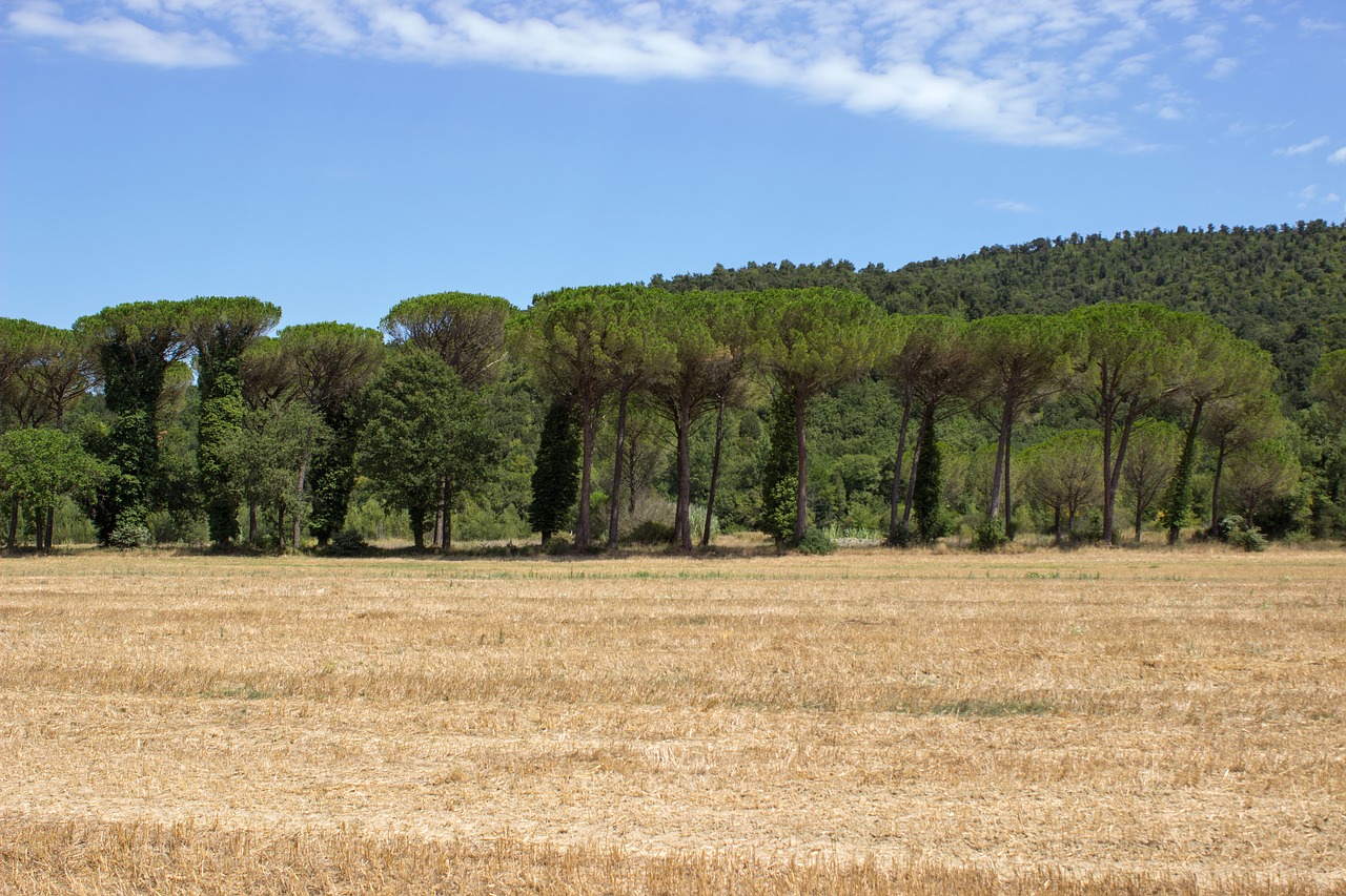 tuscany querceto landscape free photo