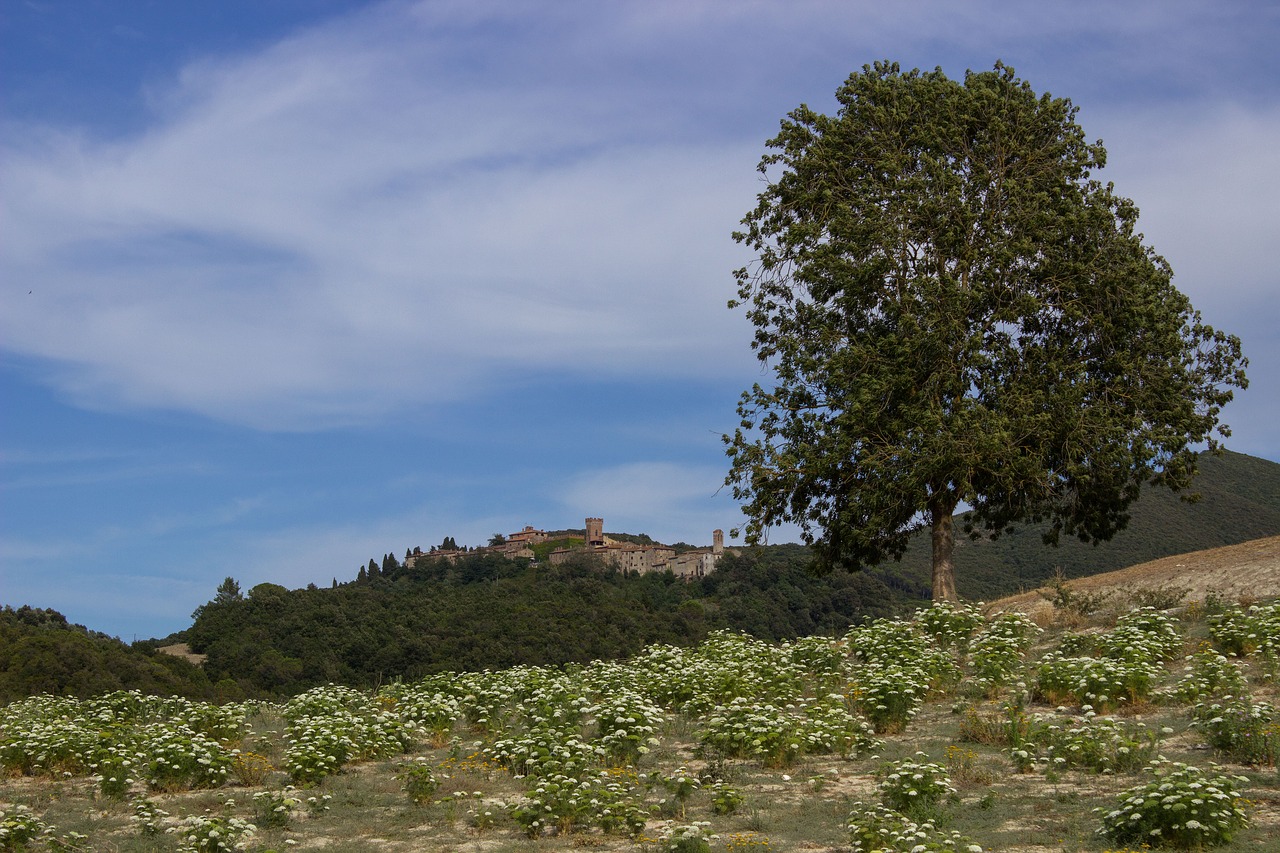 tuscany landscape wide free photo