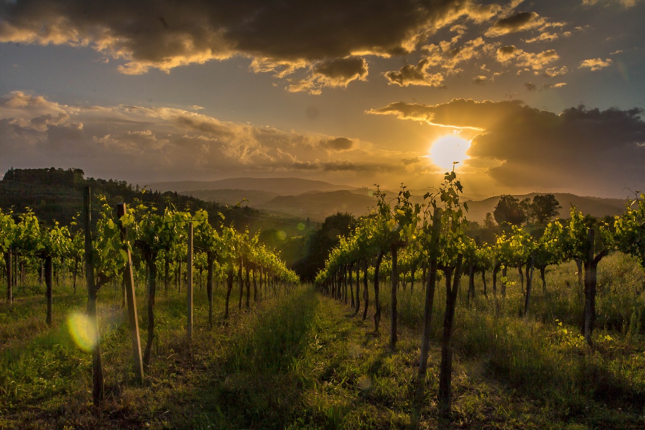 tuscany italy landscape free photo