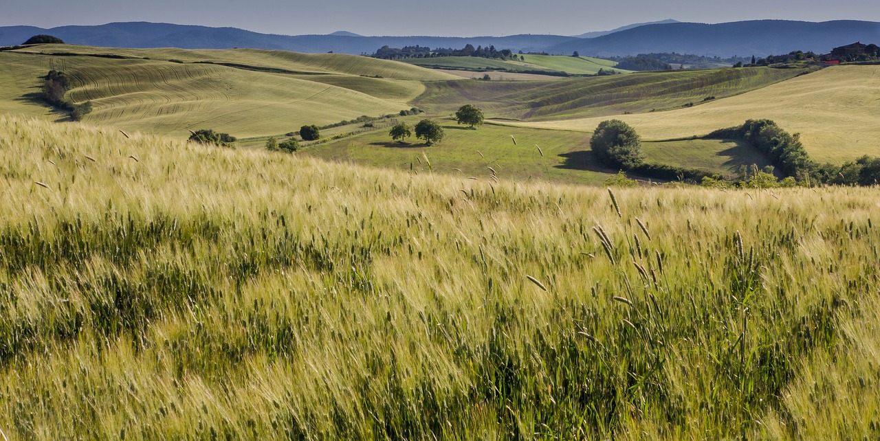 tuscany italy landscape free photo