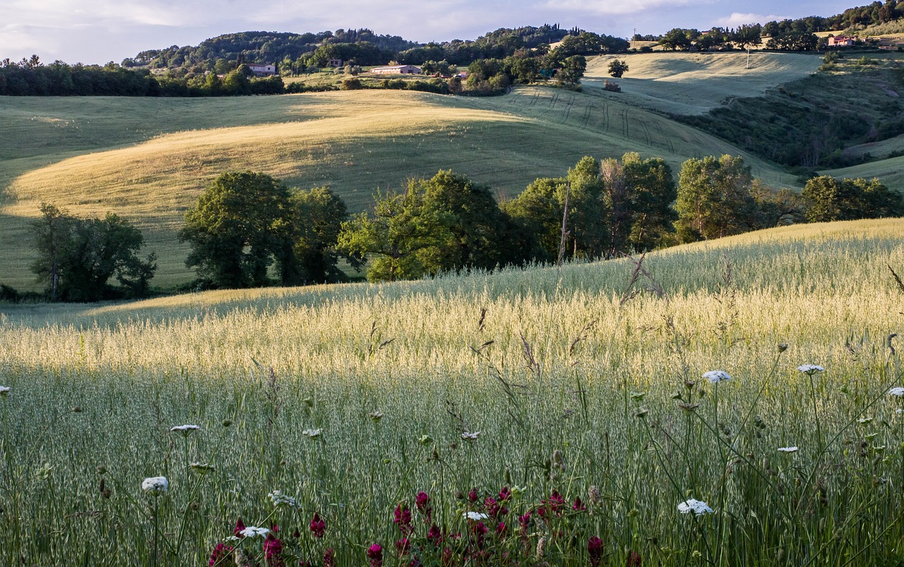 tuscany italy landscape free photo