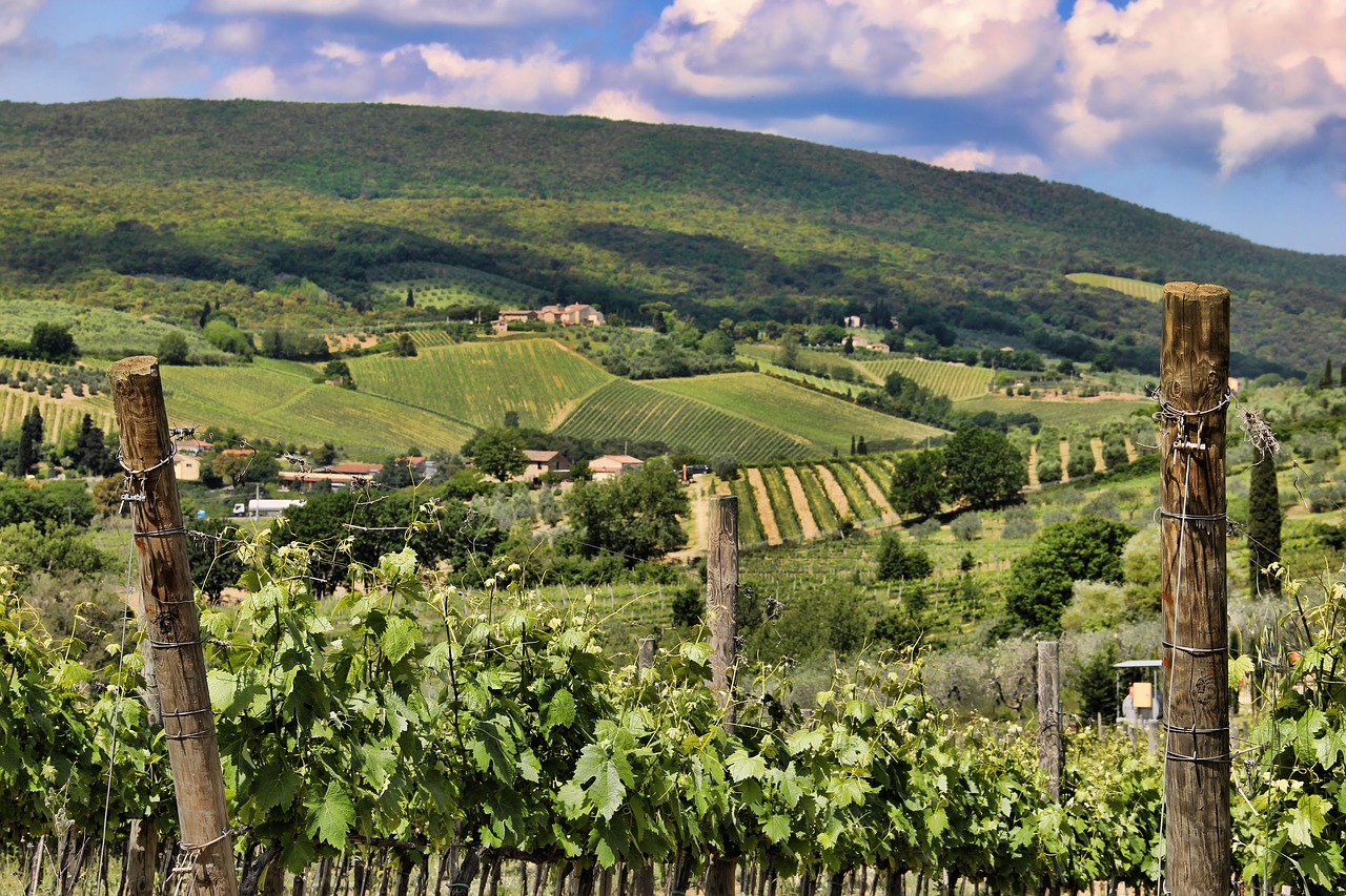 tuscany vineyard landscape free photo