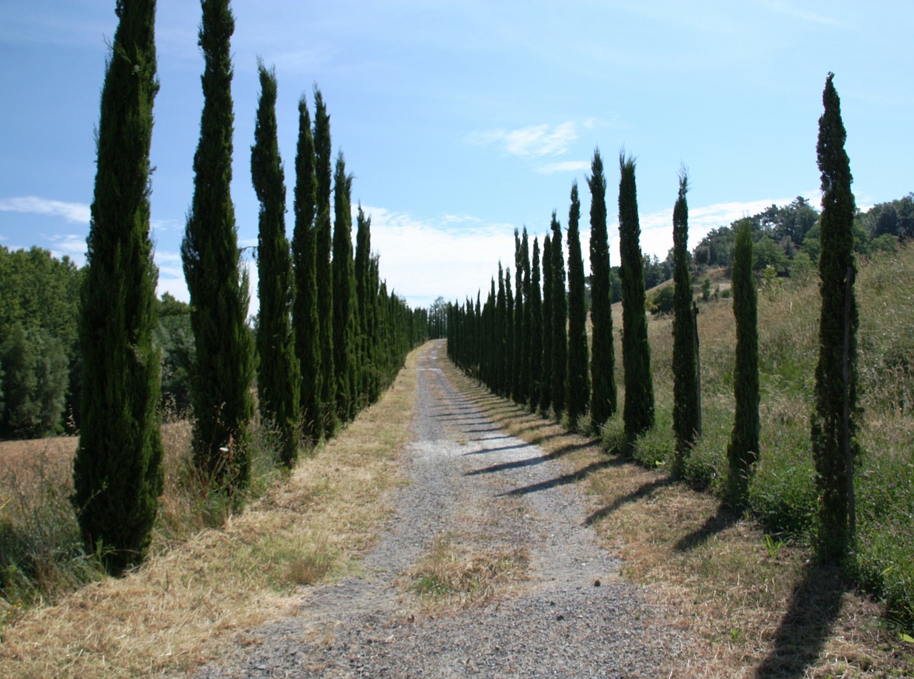 tuscany florence italy free photo