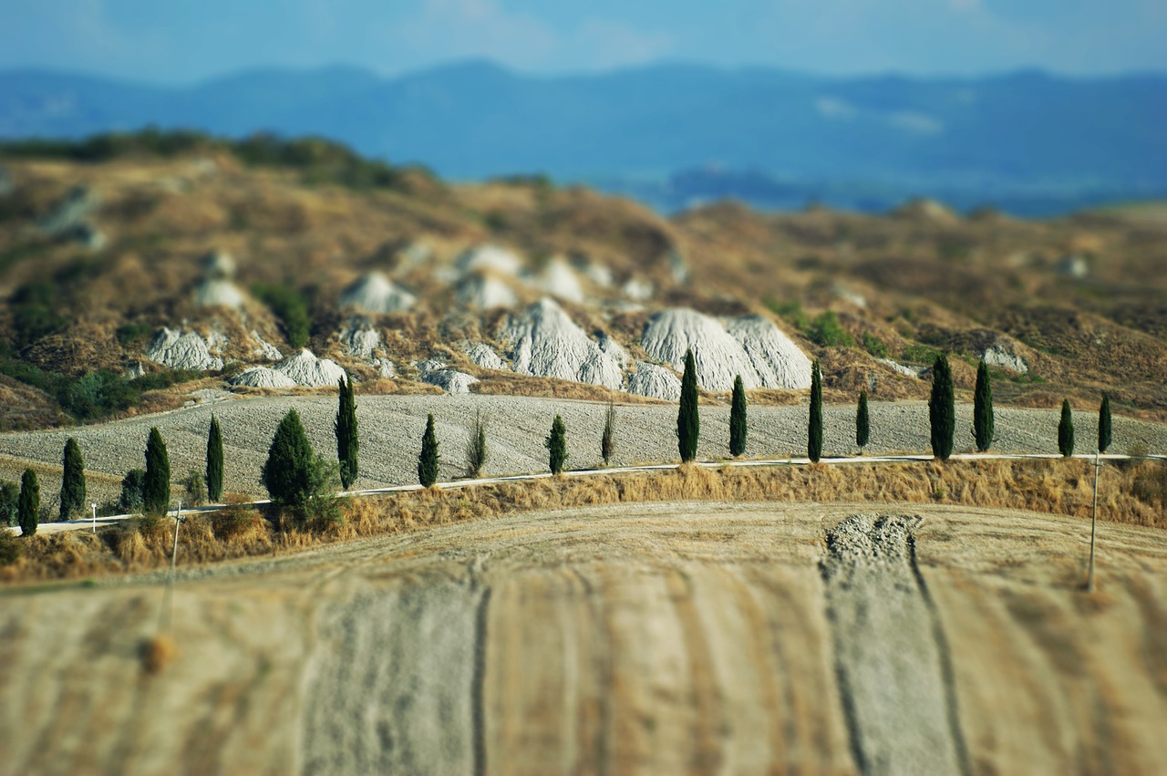 tuscany landscape cypress free photo