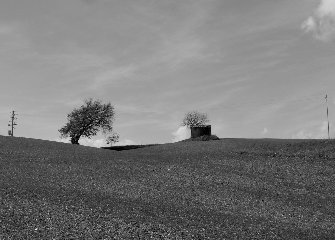 tuscany  siena  italy free photo