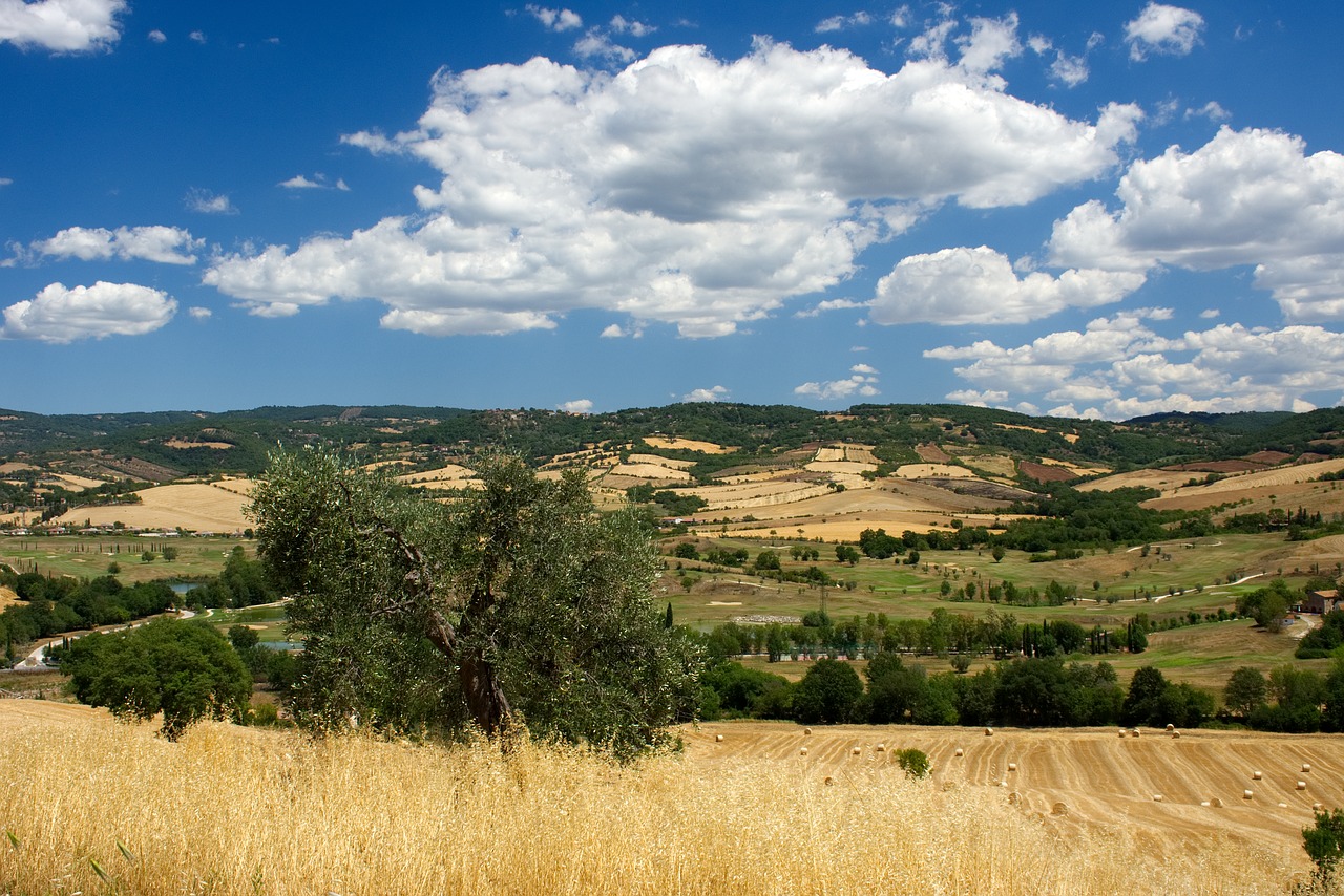 tuscany  saturnia  maremma free photo