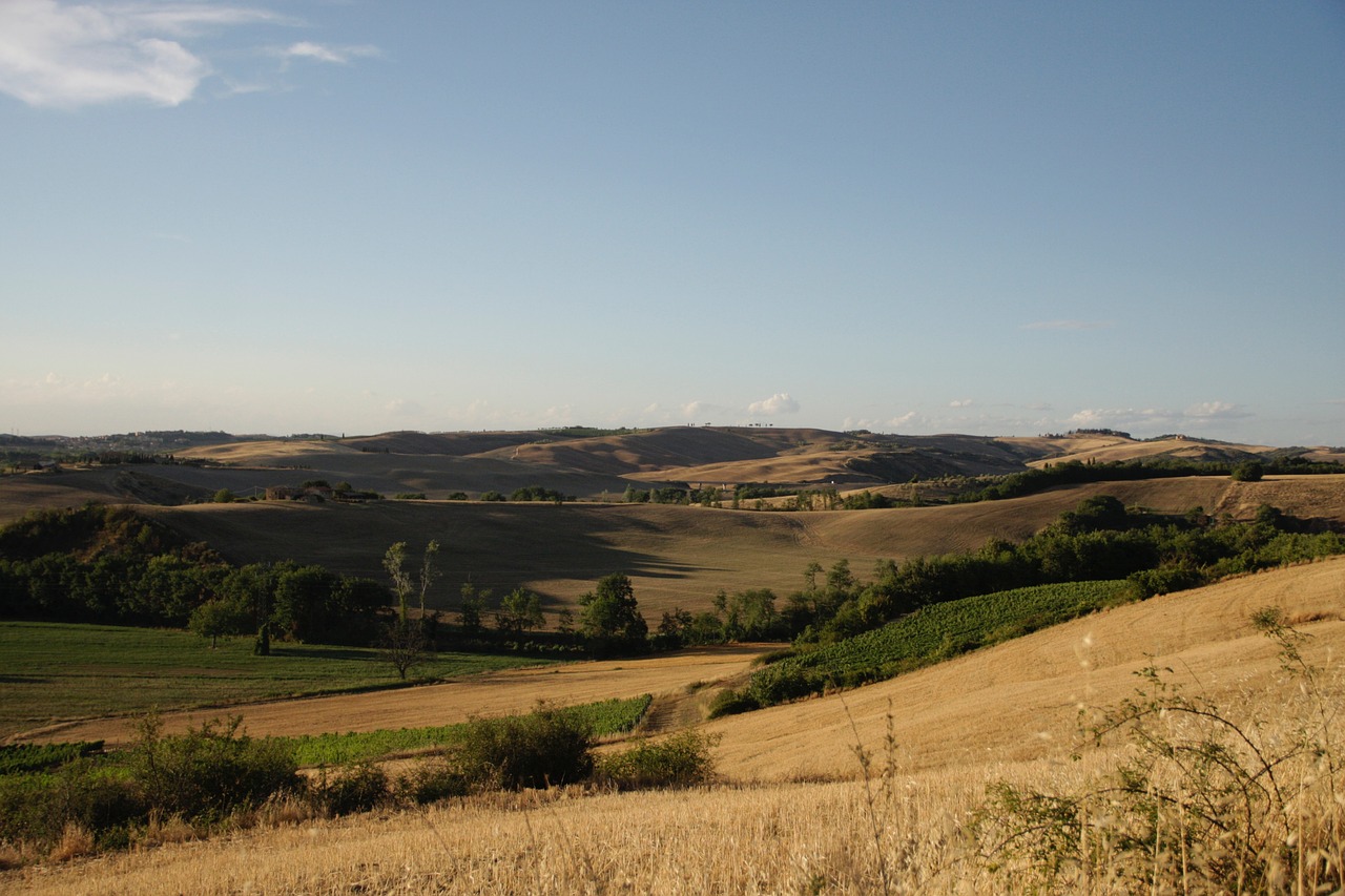 tuscany  field  italy free photo